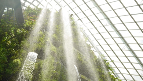 Singapore in January - Gardens By the Bay