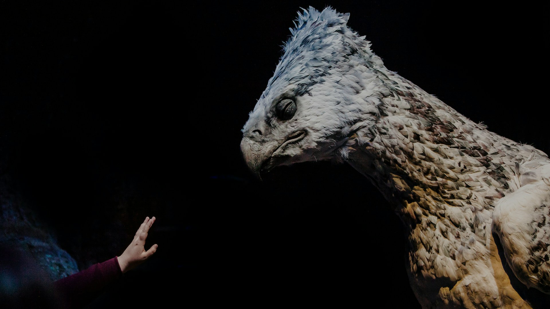 Buckbeak in the Harry Potter Forbidden Forest attraction.