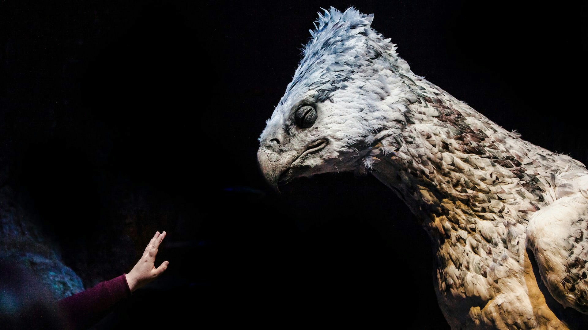 Buckbeak creature exhibit at Harry Potter Studio, showcasing magical creature design.