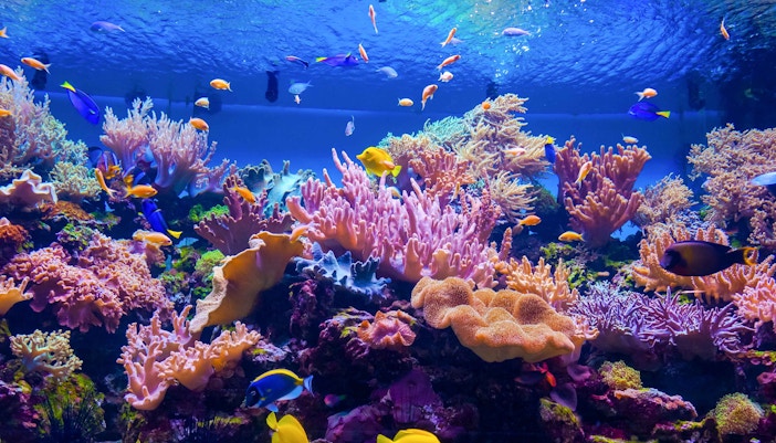 North Sea Ground at SEA LIFE Oberhausen