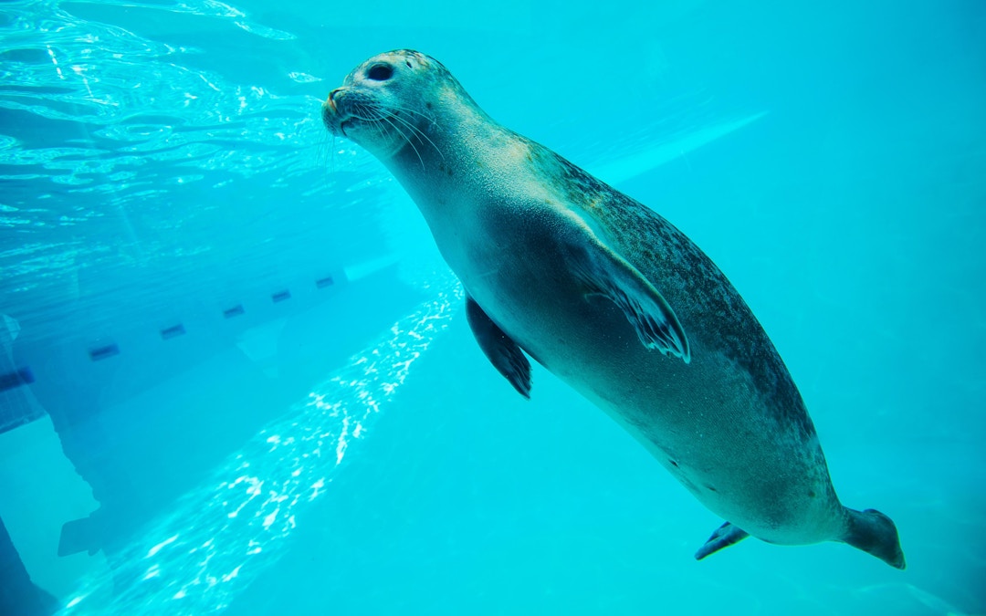 Cairns ZOOM and Wildlife Dome Facilities