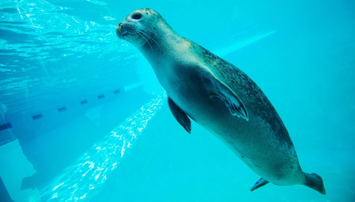 best time to visit Madrid- shoulder season