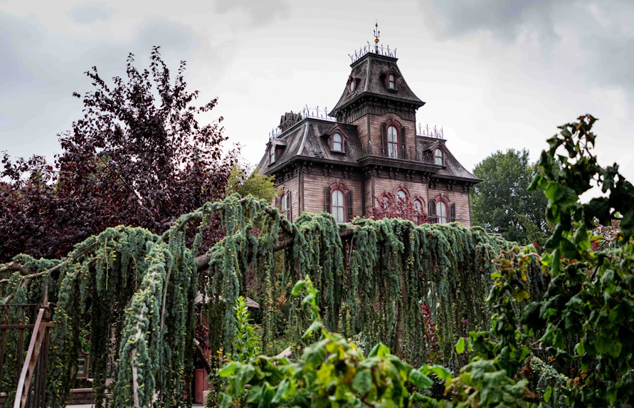 Disneyland Paris Halloween - Halloween adventure for adults
