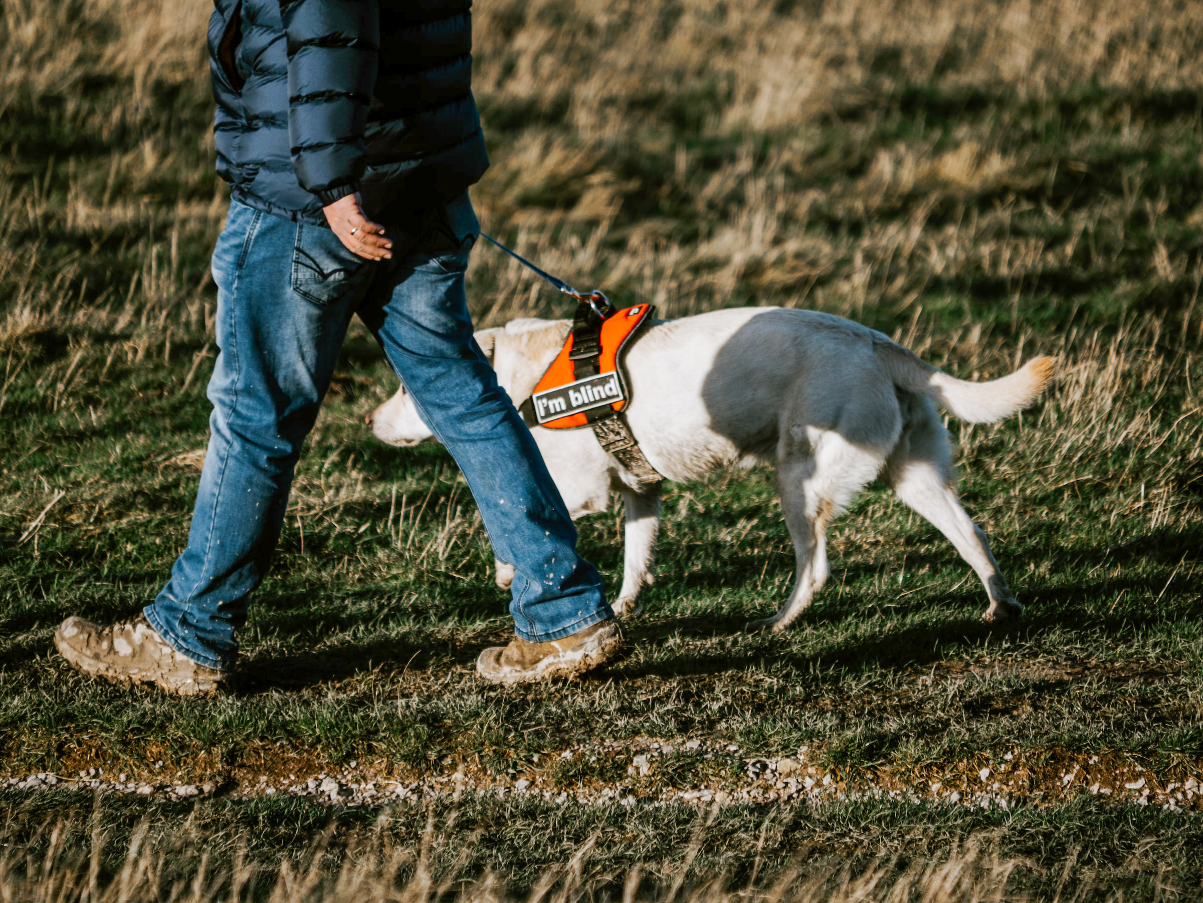 Palacio de Kensington