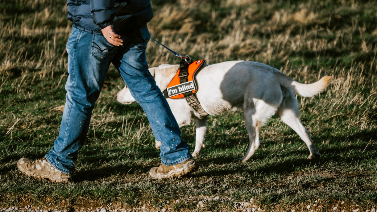 Palacio de Kensington