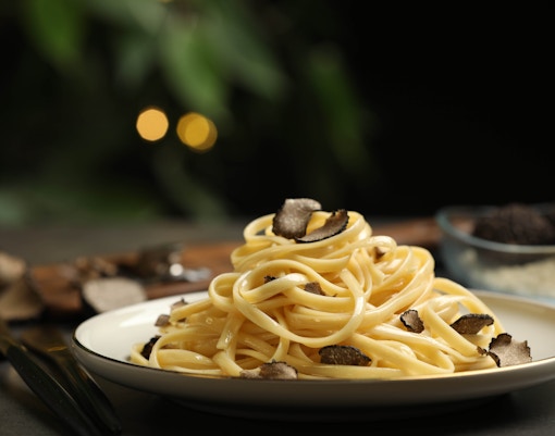 Dubai to Sharjah- Paper Fig