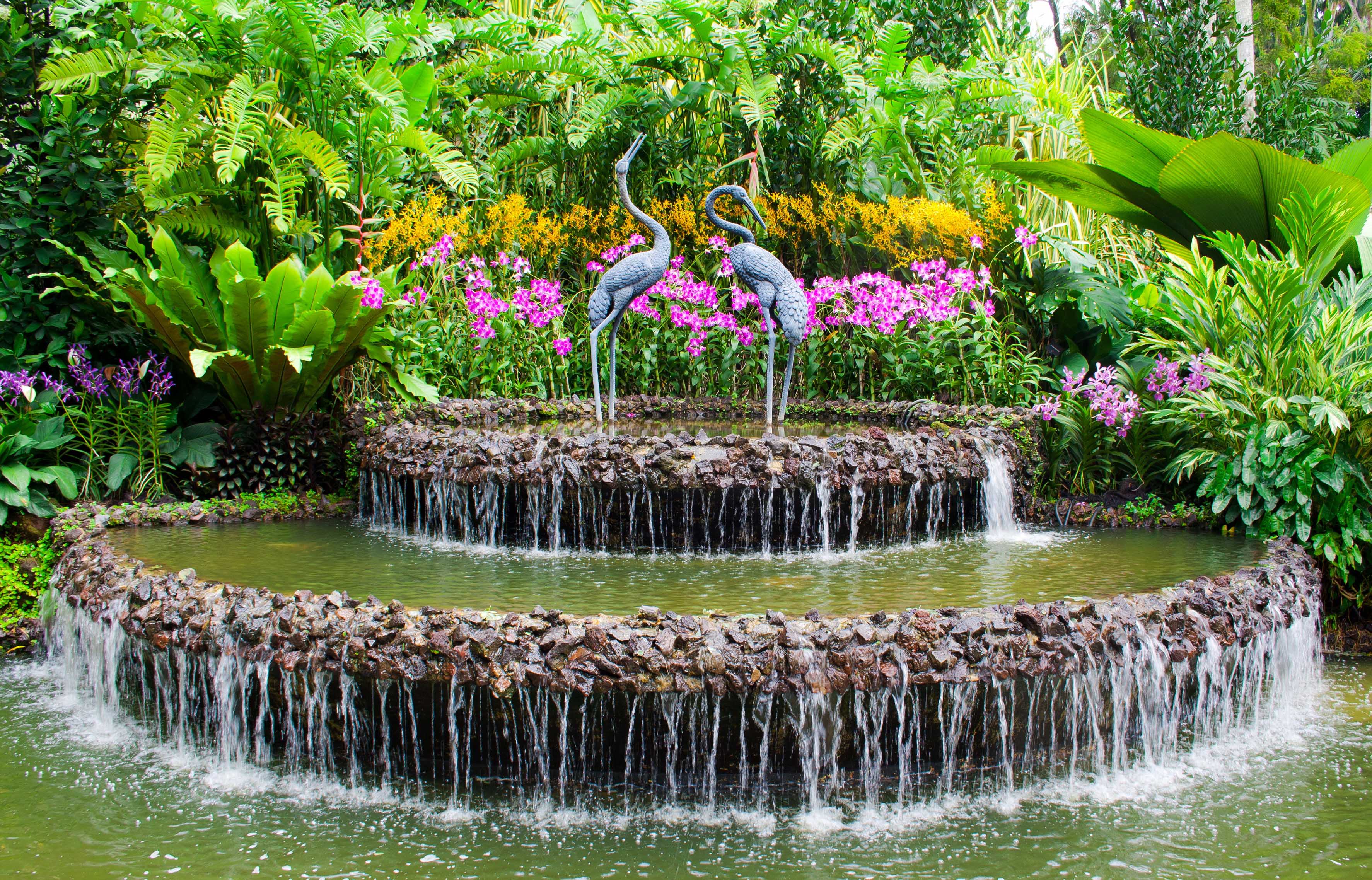 National Orchid Garden Tickets