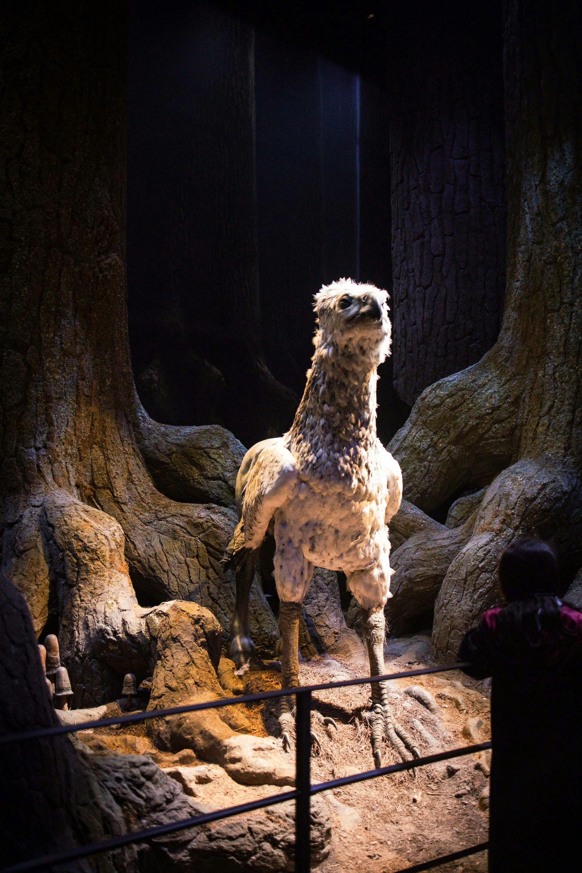 Forbidden Forest set from Harry Potter tour in London.