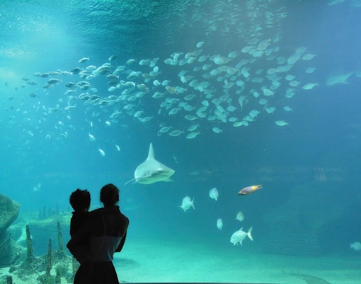 Acquario Parigi biglietti