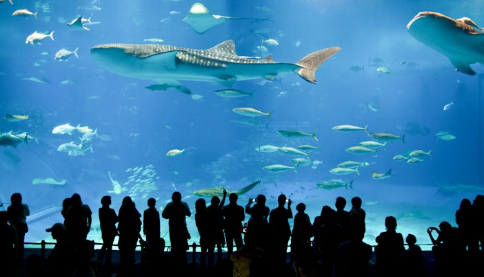 SEA Life London Aquarium