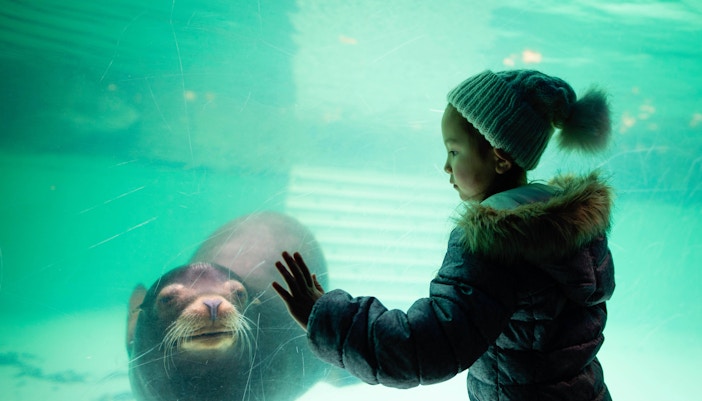 Marineland Mallorca
