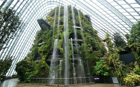 OCBC Skyway at Gardens by the Bay Singapore