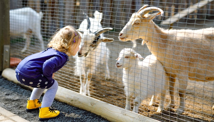 OVA Orto Verde Animali zoo entrance with visitors in Florence, Italy.