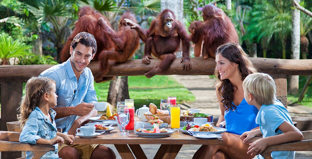 Bali Zoo