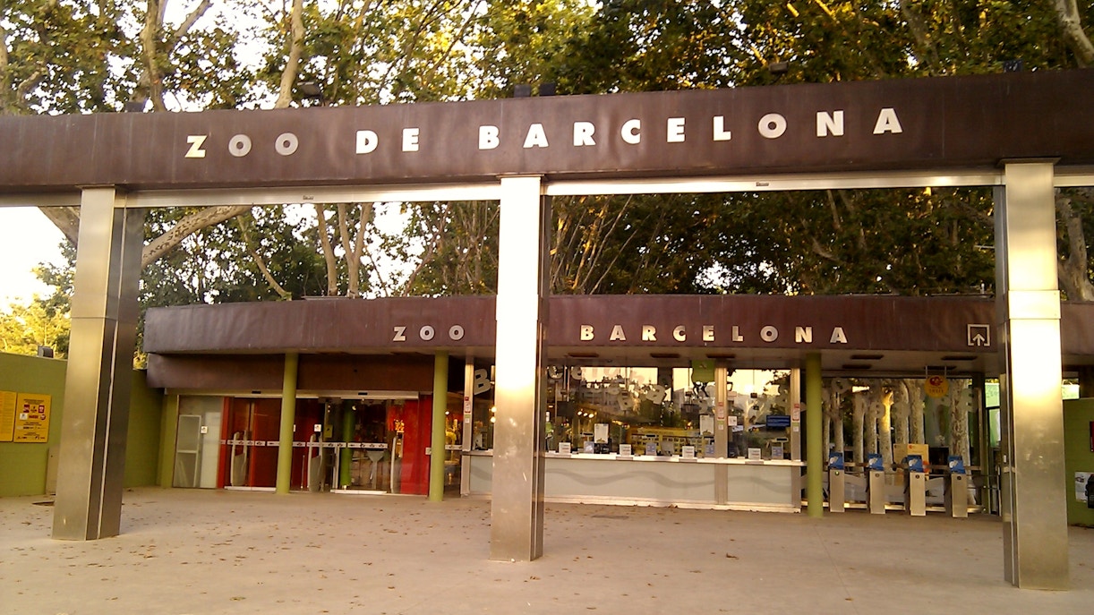 Plaça de Catalunya - barcelona zoo