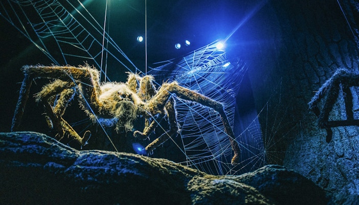 Aragog spider model at Harry Potter Studio Tour, London, showcasing magical creatures.