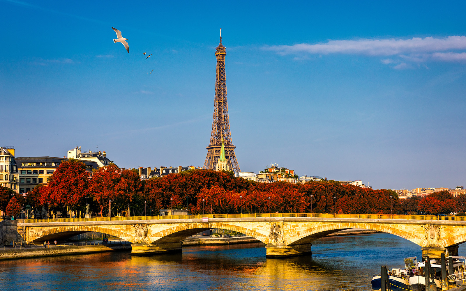 Seine River cruise boat passing by the Eiffel Tower in Paris.