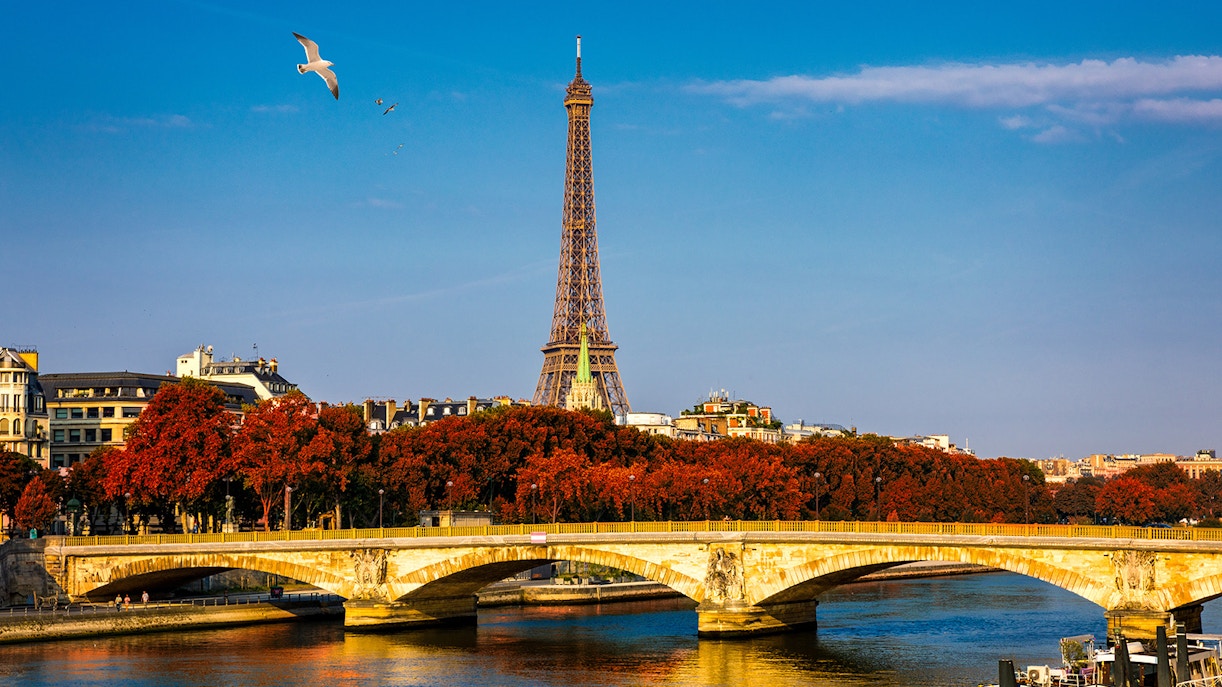 Seine River cruise boat passing by the Eiffel Tower in Paris.