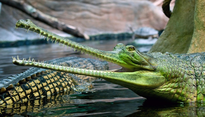 River Wonders Zones