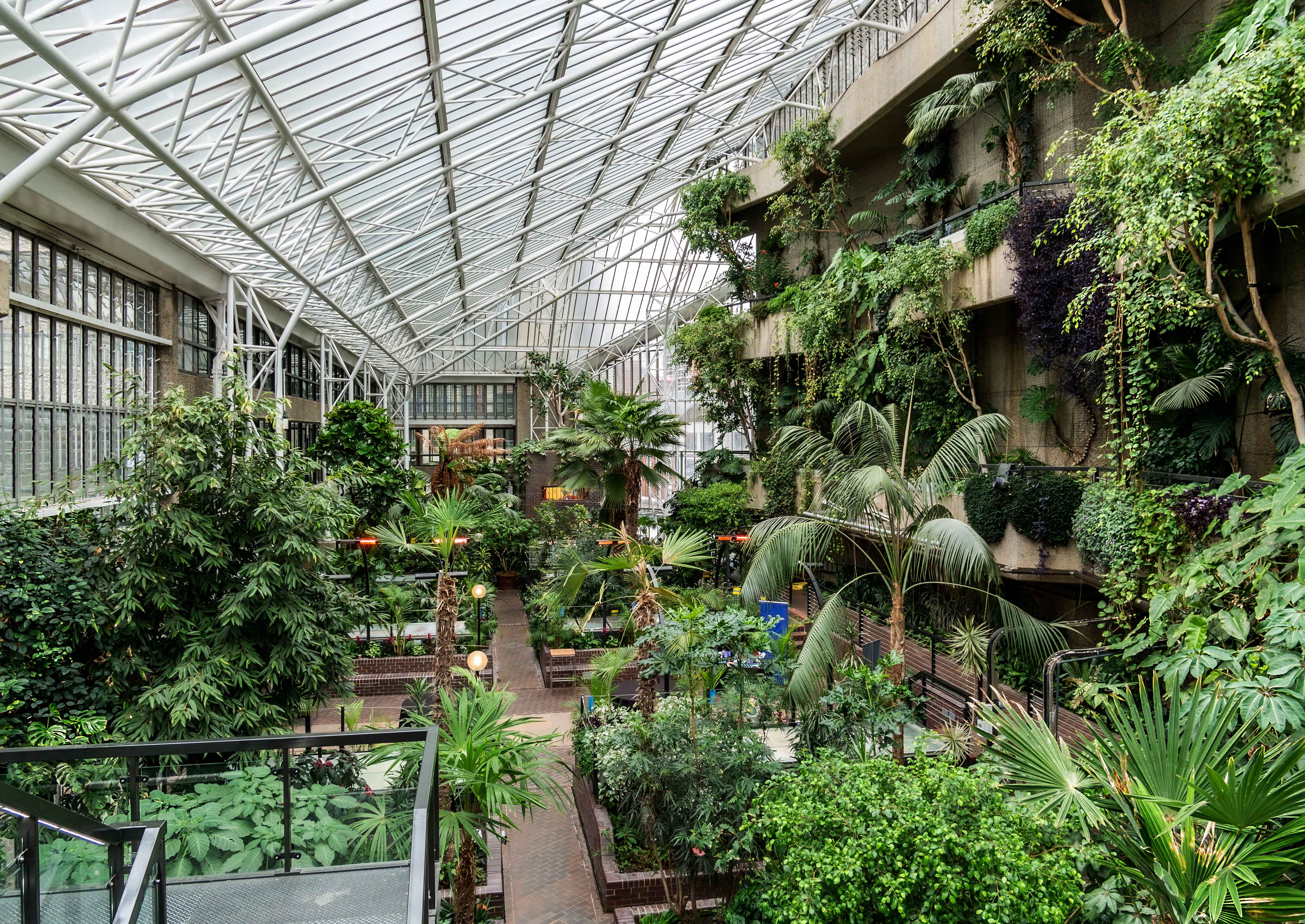 Barbican Conservatory