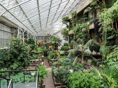 Barbican Conservatory