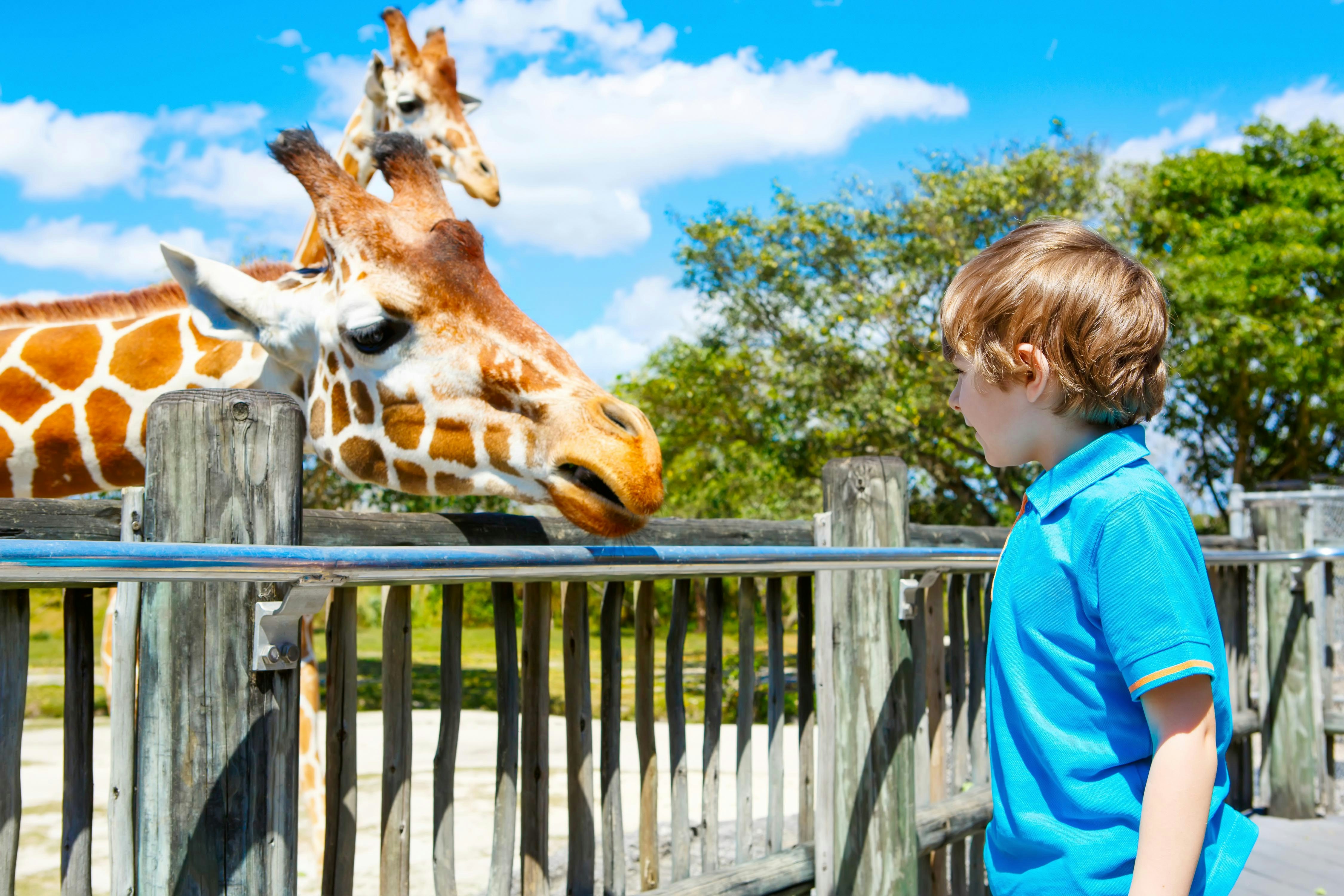 Children’s Zoo bronx zoo