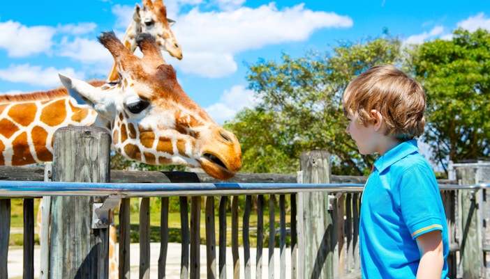 things to do in Dubai -  Dubai Safari Park