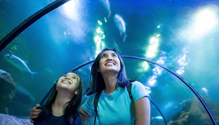 S.E.A Aquarium Singapore