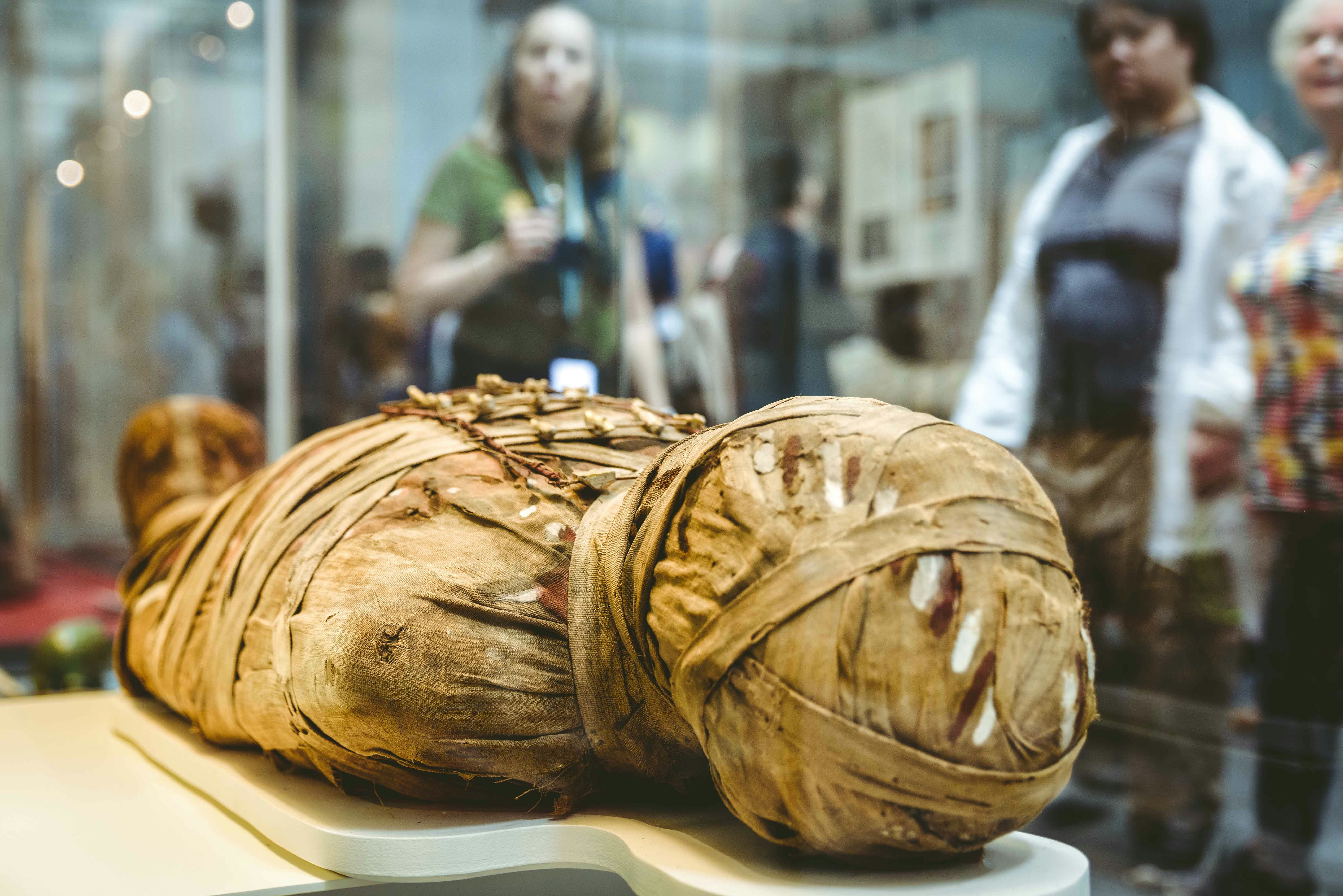 Mummy exhibit at Barcelona Egyptian Museum with visitors in the background.