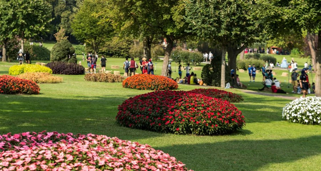parco sigurtà events