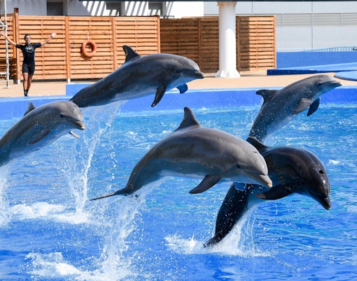 Oceanographic Valencia