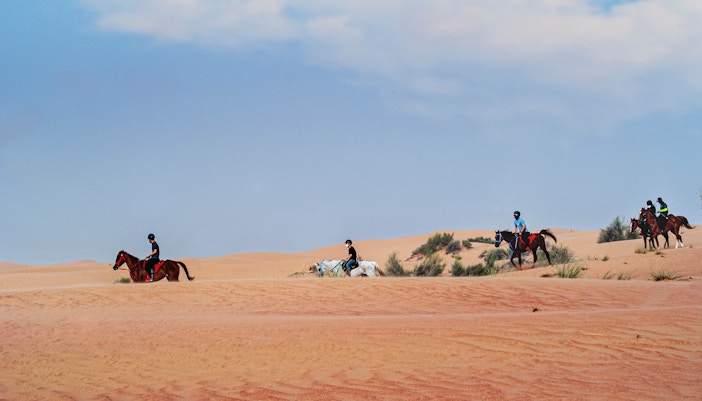 Dubai With Kids - Horse Riding
