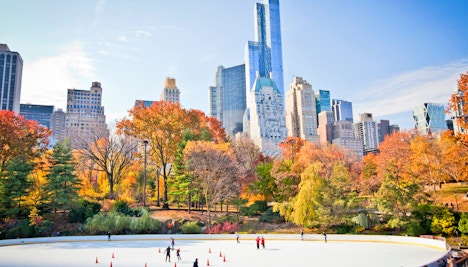 Christmas in New York- Winter wonderlands