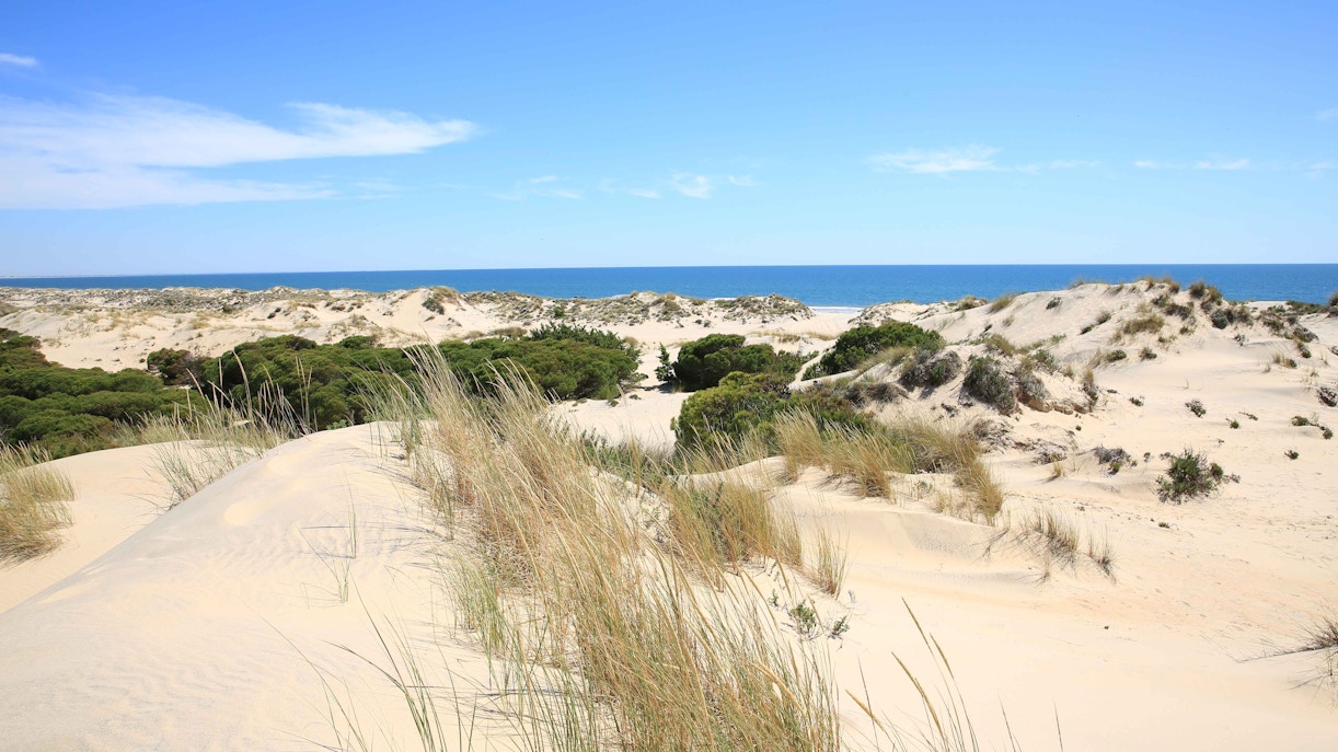 mejor época para visitar doñana