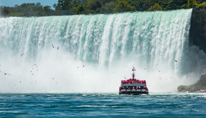 Niagara Falls Night Tours