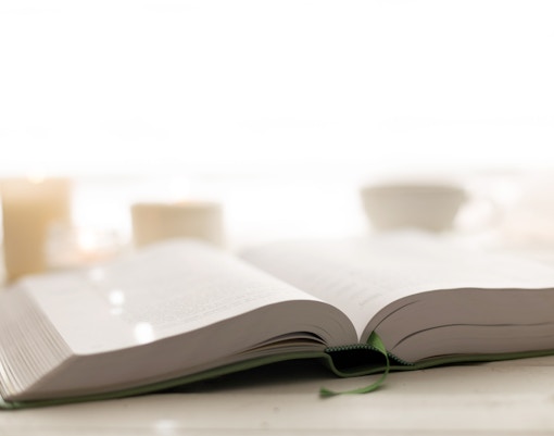 Sigmund Freud Museum tickets - Freud for the little scamps