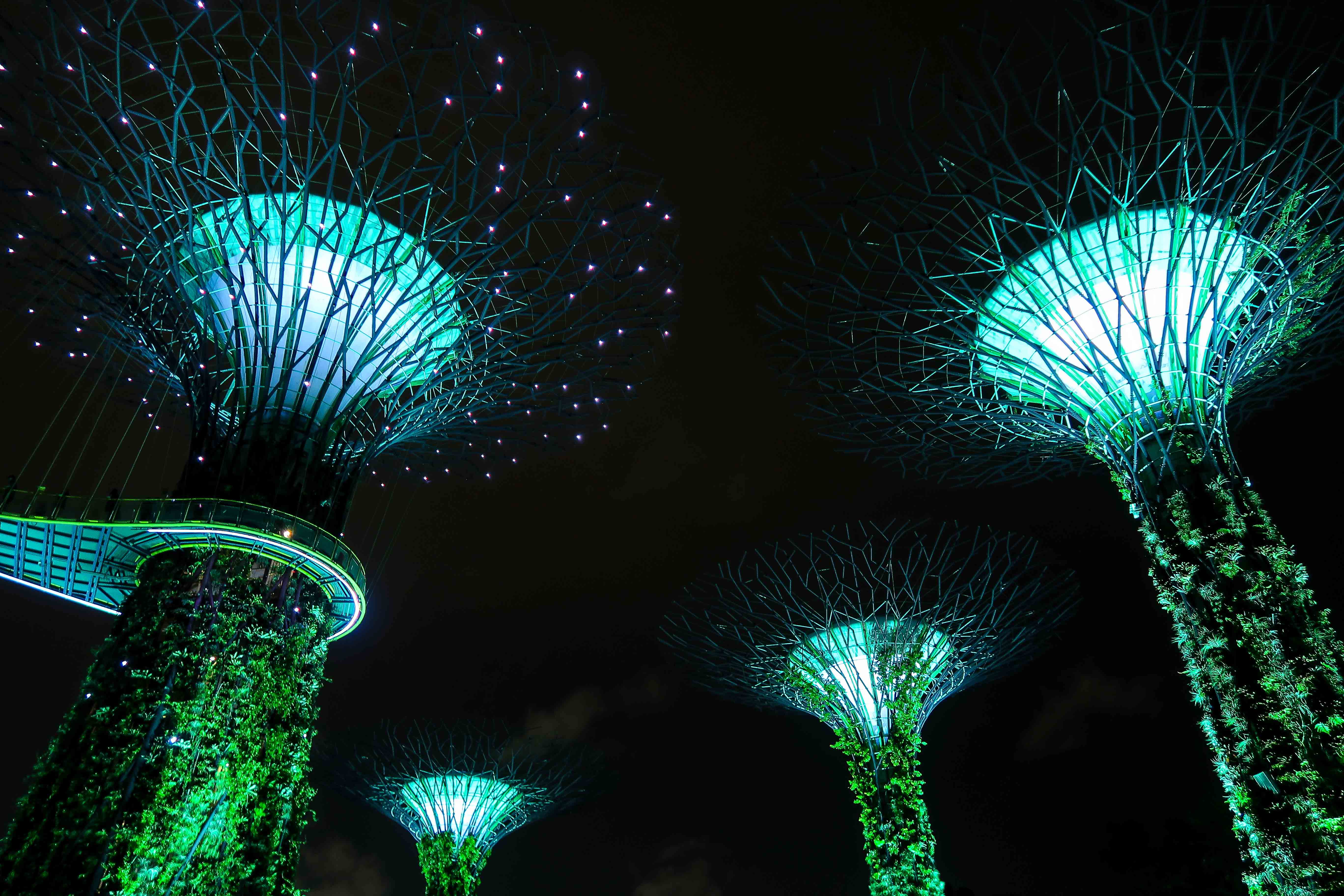 Gardens by the Bay light show
