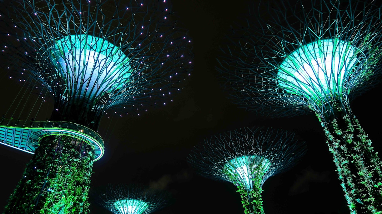 Gardens by the Bay light show