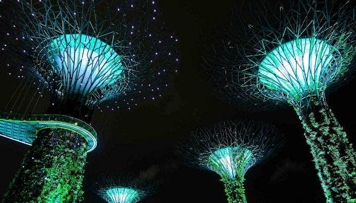 Supertree Grove Gardens by the Bay