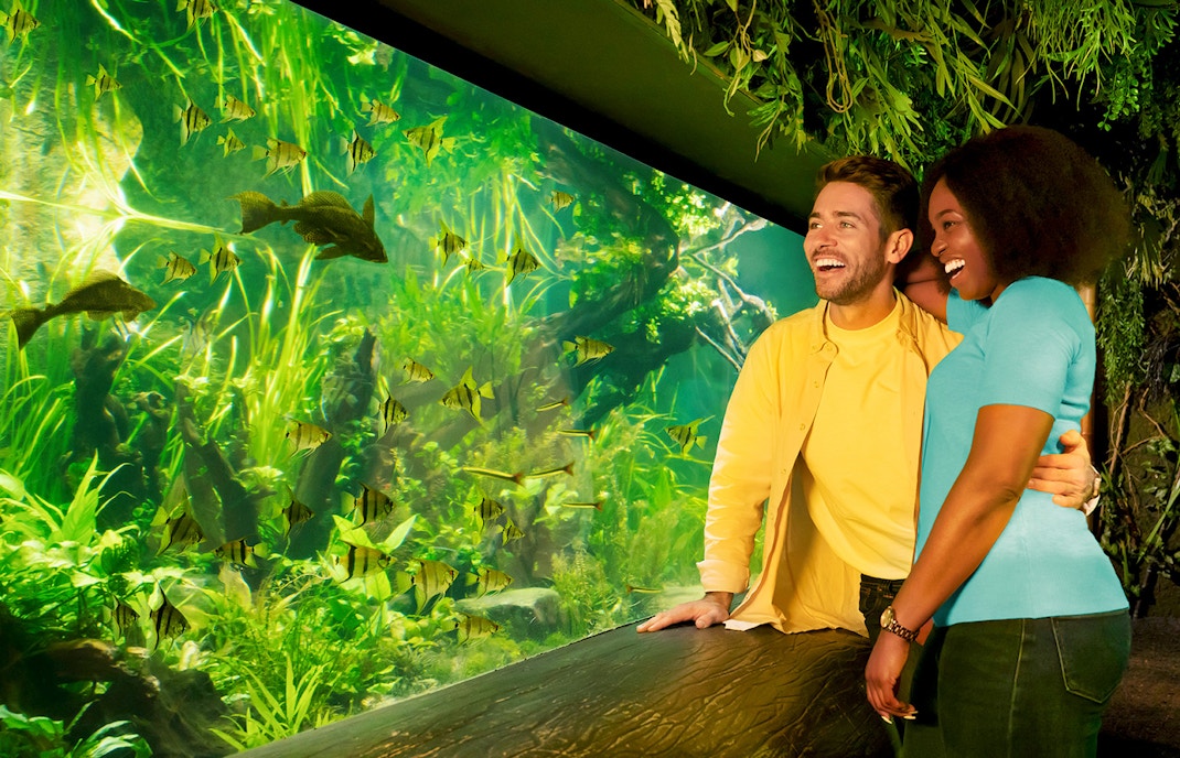 Ingressos para o Sea Life London Aquarium