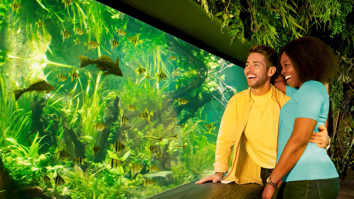 Biglietti per il Sea Life London Aquarium