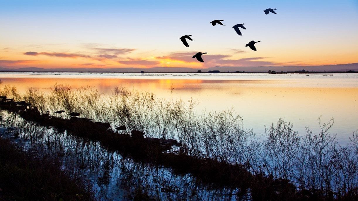 Albufera