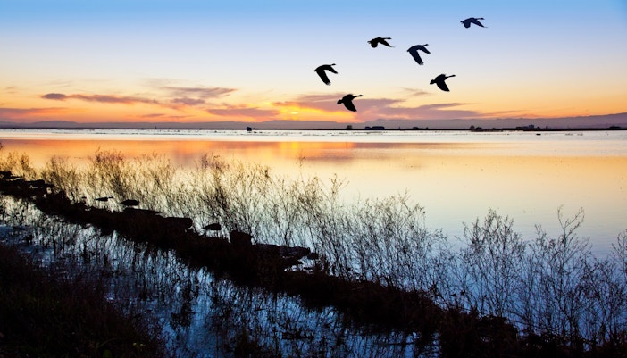Albufera Natural Park
