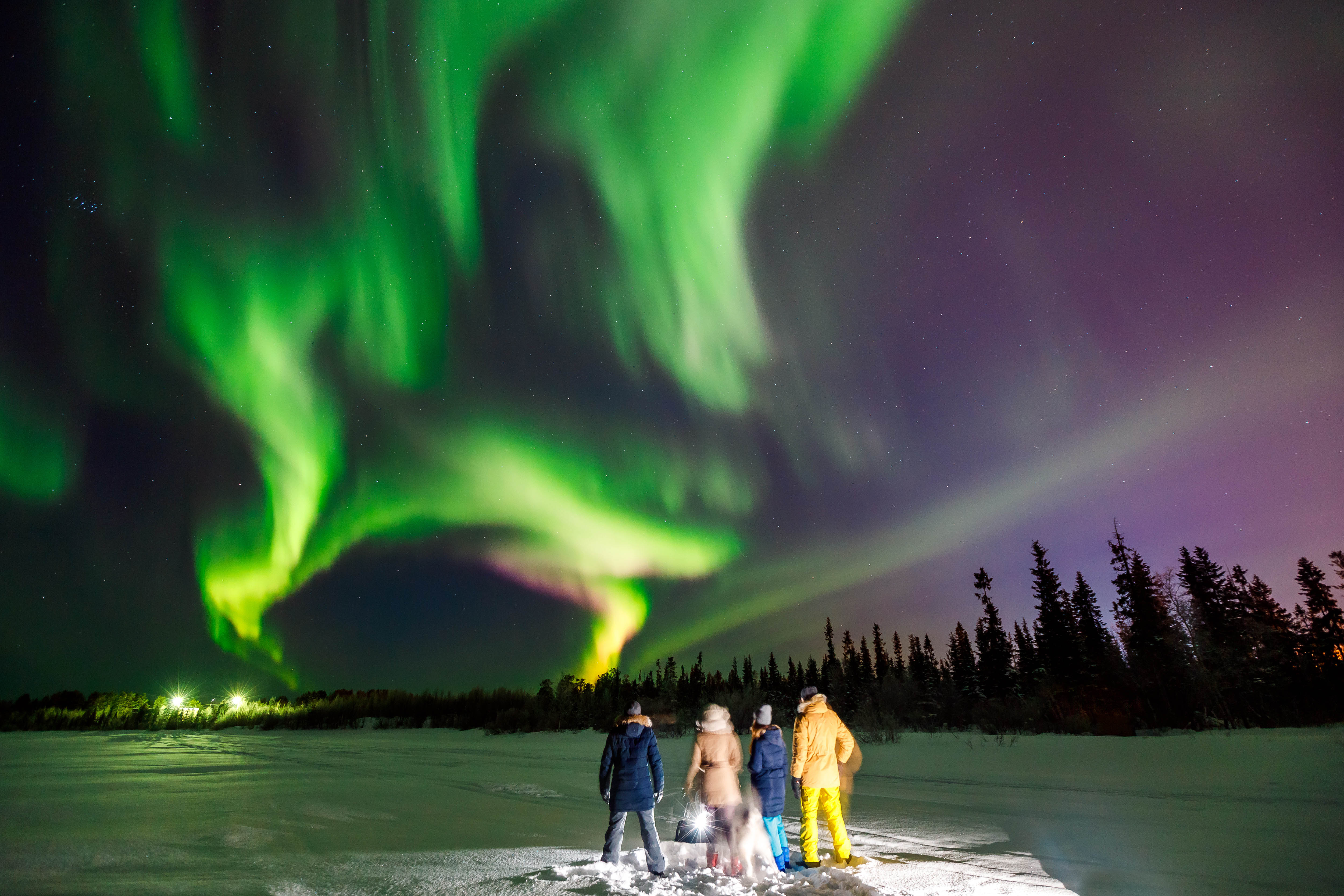 Group watching Northern Lights in snowy landscape with trees in the background.