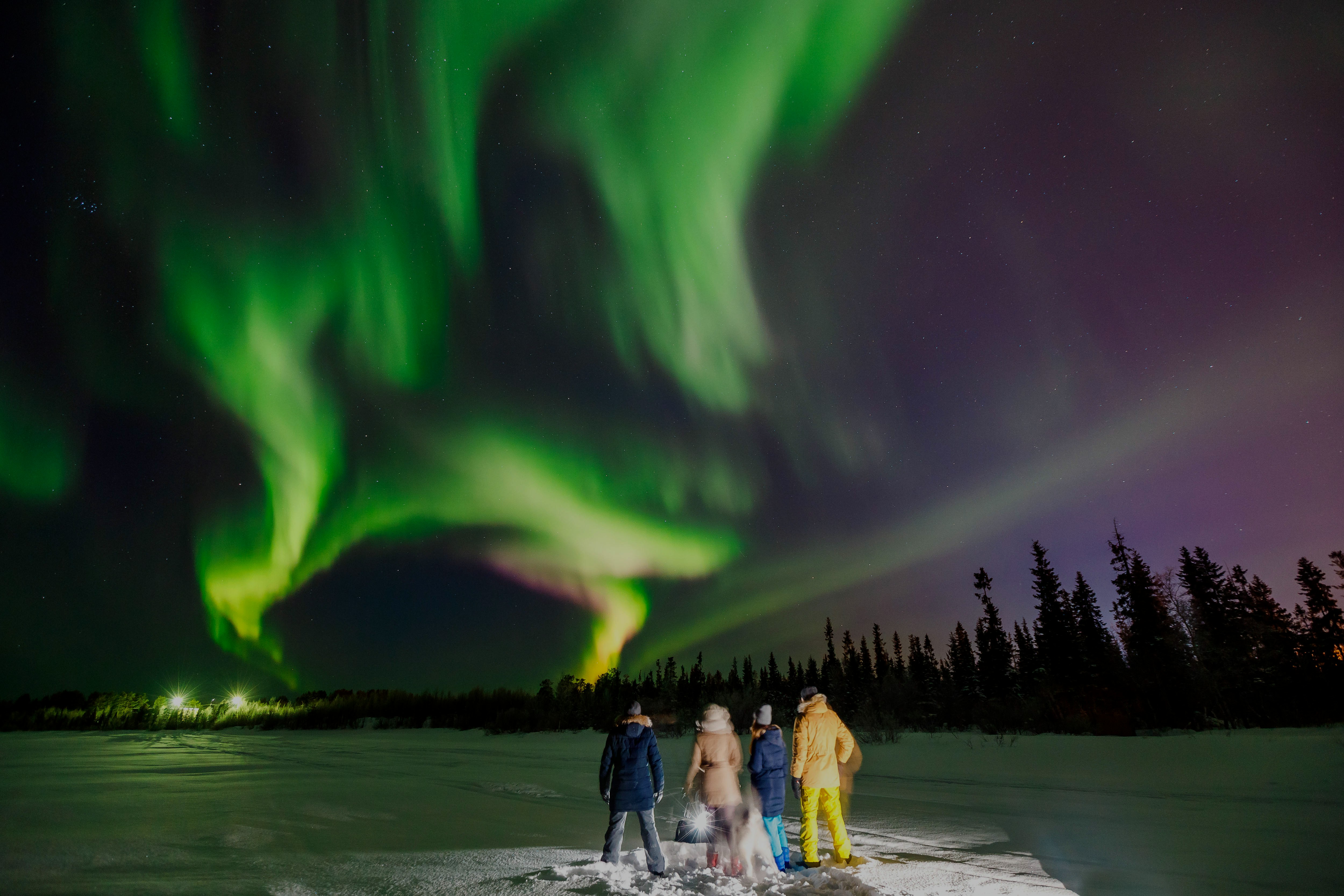 Group watching Northern Lights in snowy landscape with trees in the background.