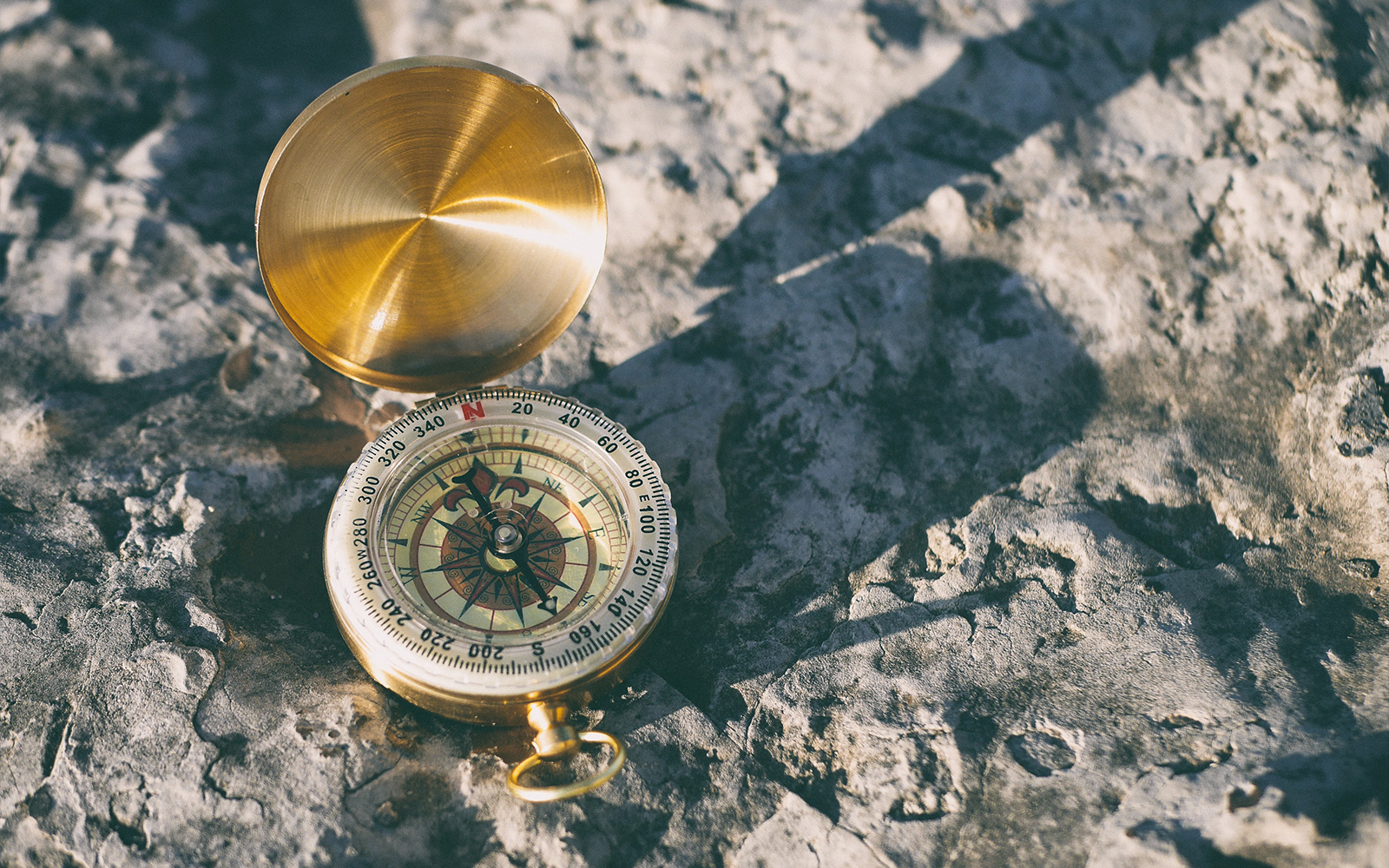 Biglietti per le mostre del Museo marittimo nazionale