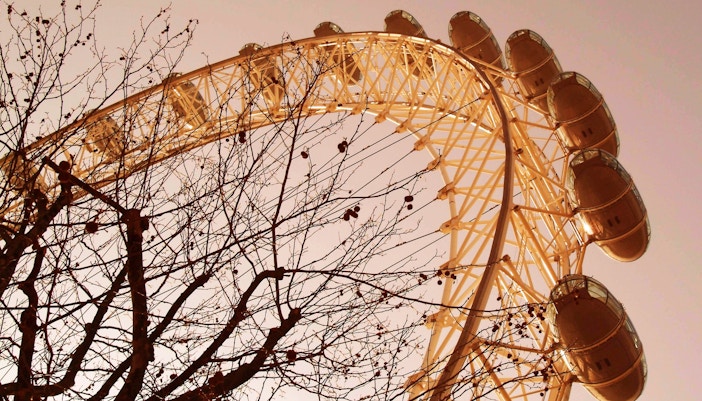 London Eye Facts