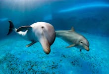 Galata Tower - Istanbul