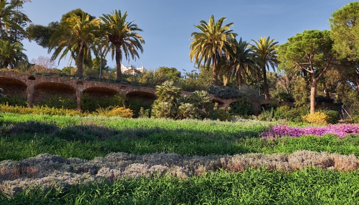 Park Guell Nature & Biodiversity