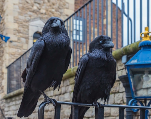 Torre di Londra biglietti